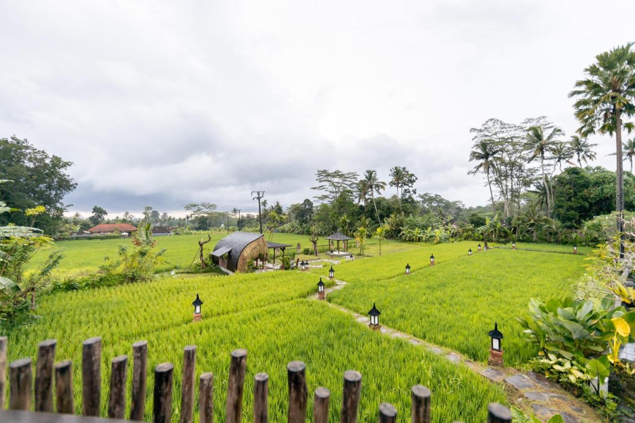 Anumana Village Ubud Dış mekan fotoğraf