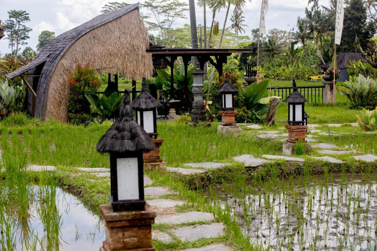 Anumana Village Ubud Dış mekan fotoğraf