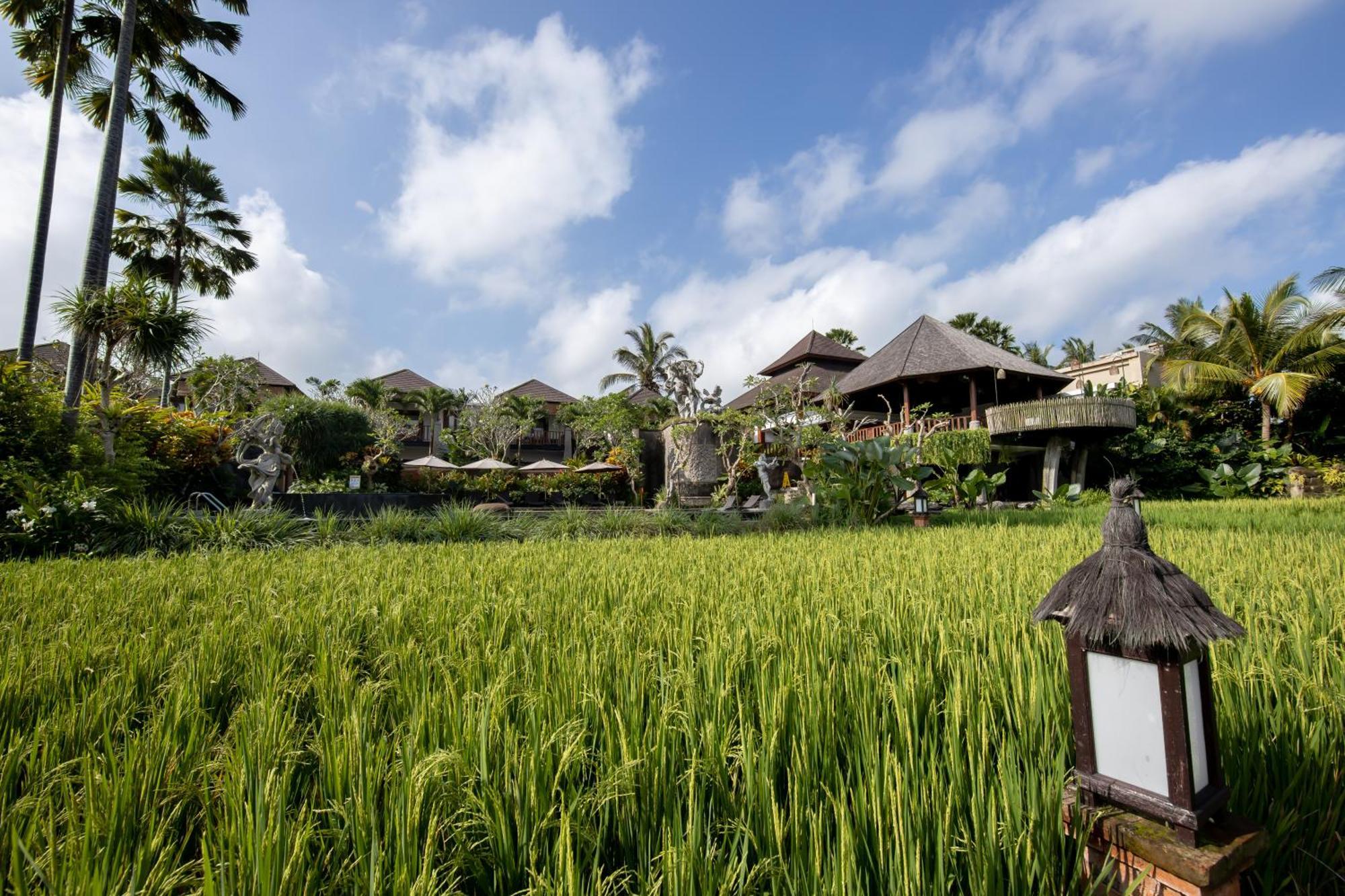 Anumana Village Ubud Dış mekan fotoğraf